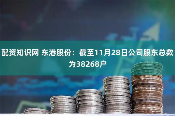 配资知识网 东港股份：截至11月28日公司股东总数为38268户