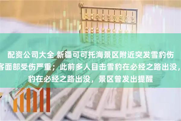 配资公司大全 新疆可可托海景区附近突发雪豹伤人事件，一名游客面部受伤严重；此前多人目击雪豹在必经之路出没，景区曾发出提醒